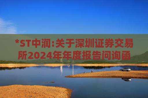 *ST中润:关于深圳证券交易所2024年年度报告问询函回复的公告