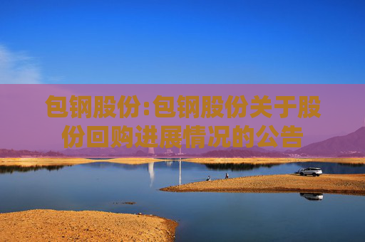 包钢股份:包钢股份关于股份回购进展情况的公告