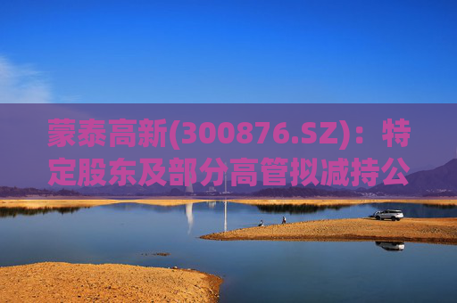 蒙泰高新(300876.SZ)：特定股东及部分高管拟减持公司股份