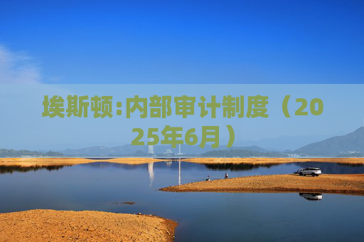 埃斯顿:内部审计制度（2025年6月）