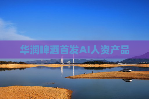 华润啤酒首发AI人资产品
