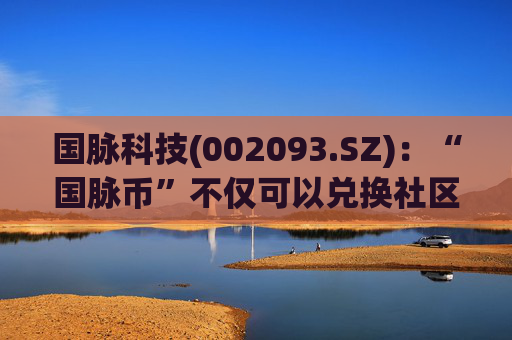 国脉科技(002093.SZ)：“国脉币”不仅可以兑换社区的商品、服务等实体权益，还可用于社区治理