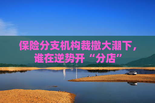 保险分支机构裁撤大潮下，谁在逆势开“分店”