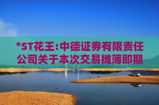 *ST花王:中德证券有限责任公司关于本次交易摊薄即期回报情况及填补措施的核查意见  第1张
