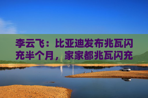 李云飞：比亚迪发布兆瓦闪充半个月，家家都兆瓦闪充了，但更多是PPT发布