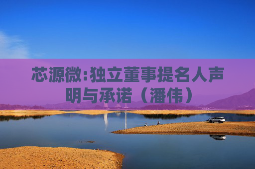 芯源微:独立董事提名人声明与承诺（潘伟）