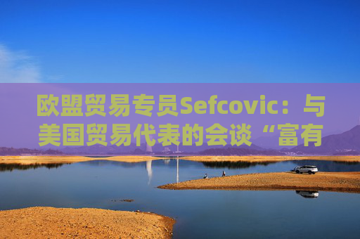 欧盟贸易专员Sefcovic：与美国贸易代表的会谈“富有成效”