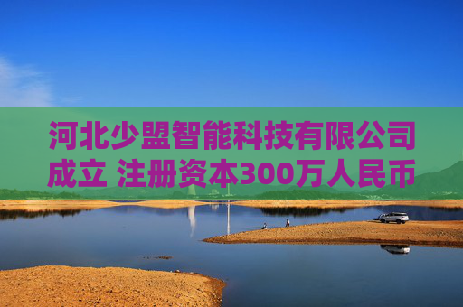 河北少盟智能科技有限公司成立 注册资本300万人民币
