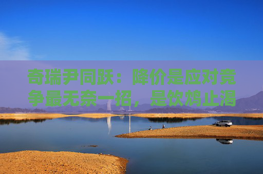 奇瑞尹同跃：降价是应对竞争最无奈一招，是饮鸩止渴