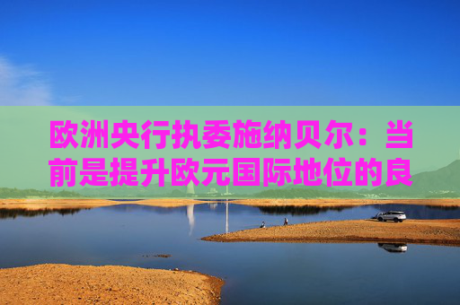 欧洲央行执委施纳贝尔：当前是提升欧元国际地位的良机