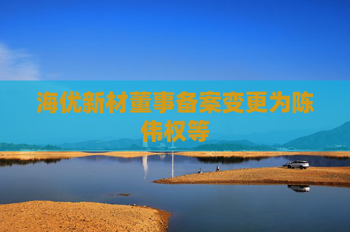 海优新材董事备案变更为陈伟权等  第1张