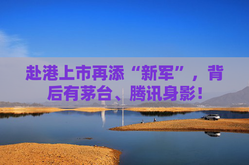 赴港上市再添“新军”，背后有茅台、腾讯身影！