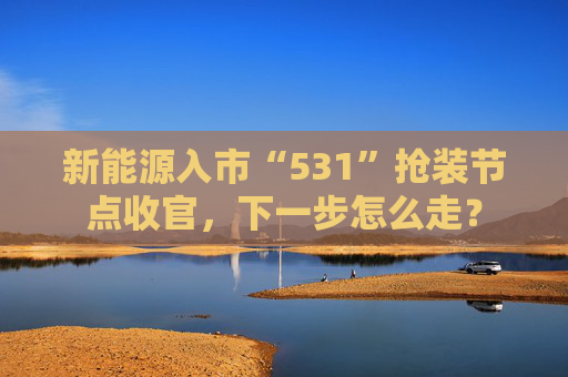 新能源入市“531”抢装节点收官，下一步怎么走？