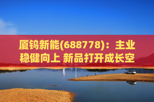 厦钨新能(688778)：主业稳健向上 新品打开成长空间