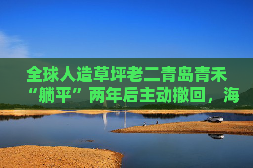 全球人造草坪老二青岛青禾“躺平”两年后主动撤回，海外业务风险频发