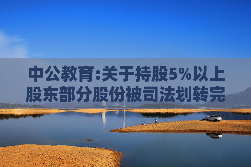 中公教育:关于持股5%以上股东部分股份被司法划转完成暨股份解除质押、冻结的公告