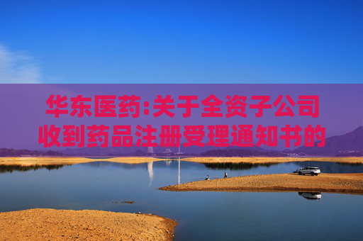 华东医药:关于全资子公司收到药品注册受理通知书的公告