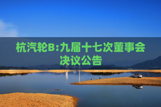 杭汽轮B:九届十七次董事会决议公告
