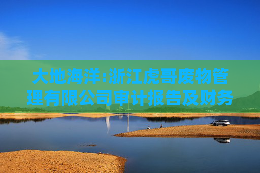 大地海洋:浙江虎哥废物管理有限公司审计报告及财务报表2024年1月1日至2025年2月28日止