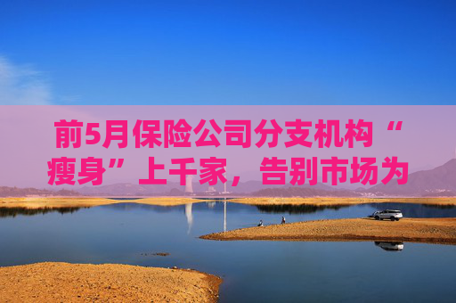 前5月保险公司分支机构“瘦身”上千家，告别市场为哪般