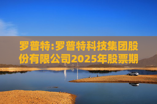 罗普特:罗普特科技集团股份有限公司2025年股票期权激励计划（草案）摘要公告