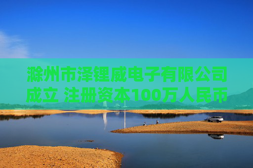 滁州市泽锂威电子有限公司成立 注册资本100万人民币