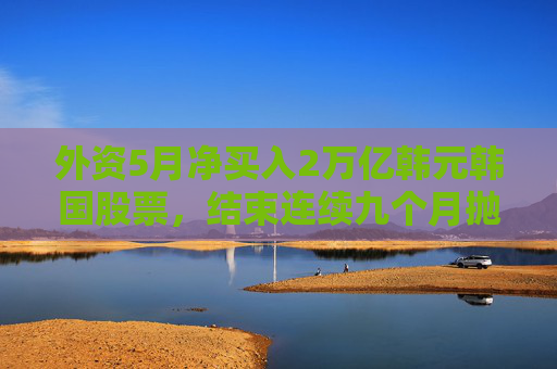 外资5月净买入2万亿韩元韩国股票，结束连续九个月抛售