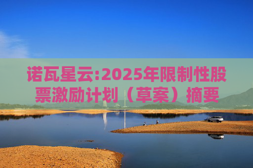 诺瓦星云:2025年限制性股票激励计划（草案）摘要
