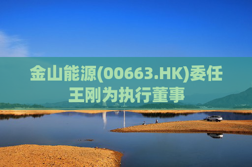 金山能源(00663.HK)委任王刚为执行董事