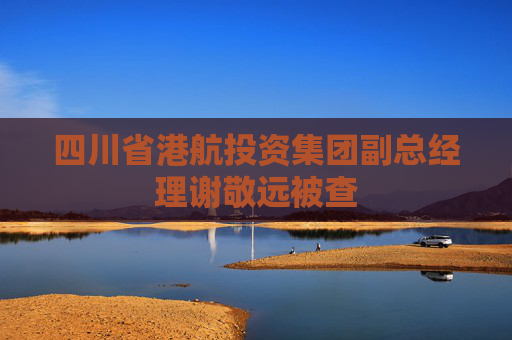 四川省港航投资集团副总经理谢敬远被查