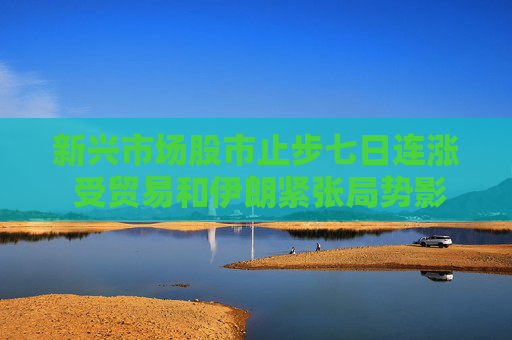 新兴市场股市止步七日连涨 受贸易和伊朗紧张局势影响