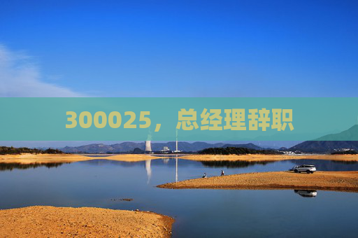 300025，总经理辞职