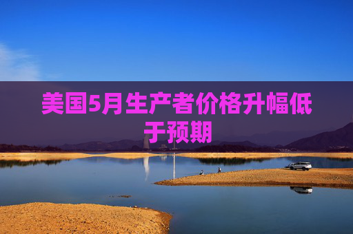 美国5月生产者价格升幅低于预期