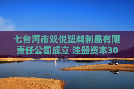 七台河市双悦塑料制品有限责任公司成立 注册资本300万人民币