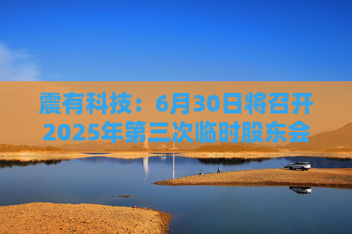 震有科技：6月30日将召开2025年第三次临时股东会