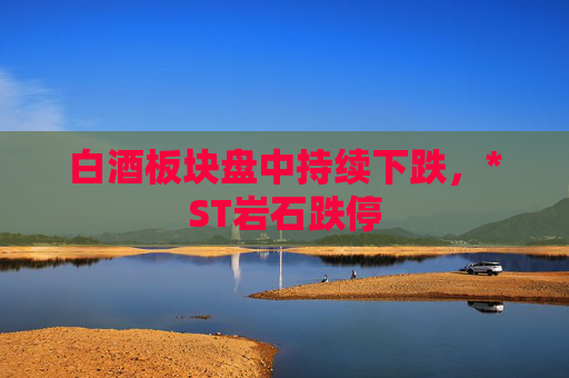 白酒板块盘中持续下跌，*ST岩石跌停
