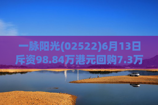 一脉阳光(02522)6月13日斥资98.84万港元回购7.3万股