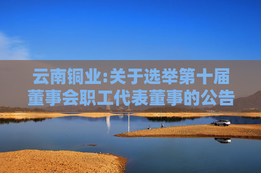 云南铜业:关于选举第十届董事会职工代表董事的公告