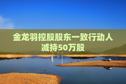 金龙羽控股股东一致行动人减持50万股