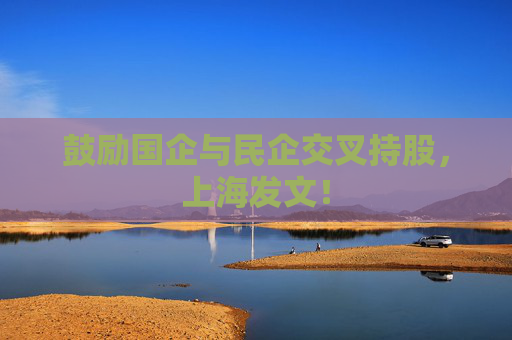 鼓励国企与民企交叉持股，上海发文！