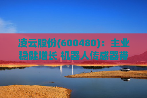 凌云股份(600480)：主业稳健增长 机器人传感器带来增长期权