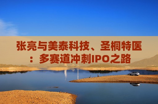 张亮与美泰科技、圣桐特医：多赛道冲刺IPO之路