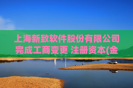 上海新致软件股份有限公司完成工商变更 注册资本(金)变更增至26289万人民币