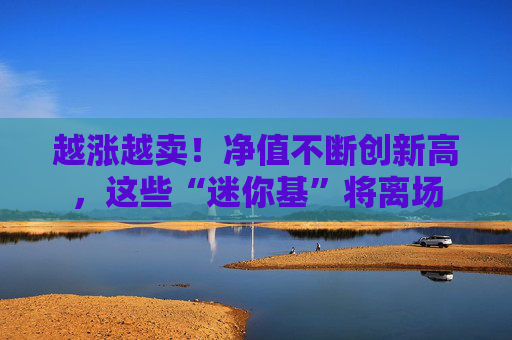 越涨越卖！净值不断创新高，这些“迷你基”将离场