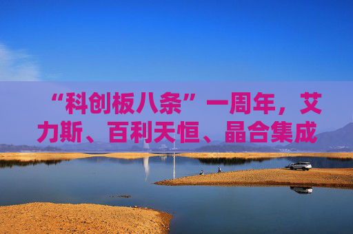“科创板八条”一周年，艾力斯、百利天恒、晶合集成等多位科创板公司掌门人发声！