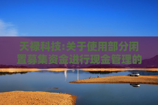 天禄科技:关于使用部分闲置募集资金进行现金管理的进展公告
