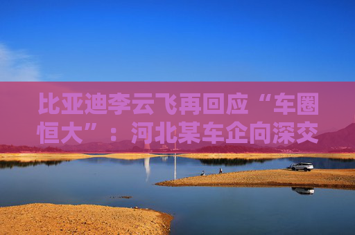 比亚迪李云飞再回应“车圈恒大”：河北某车企向深交所、港交所及监管机构恶意举报比亚迪