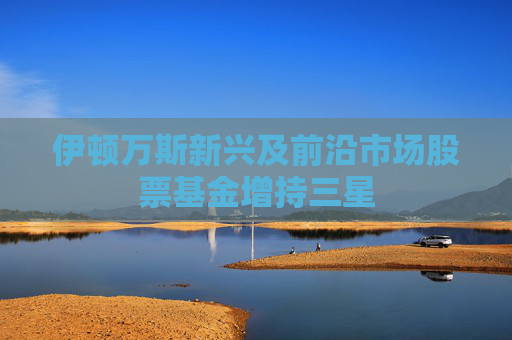 伊顿万斯新兴及前沿市场股票基金增持三星