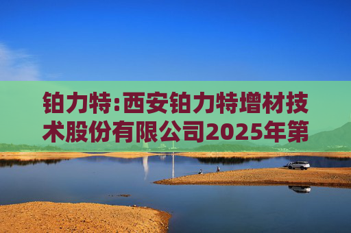铂力特:西安铂力特增材技术股份有限公司2025年第一季度报告（修订版）