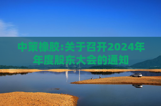 中策橡胶:关于召开2024年年度股东大会的通知